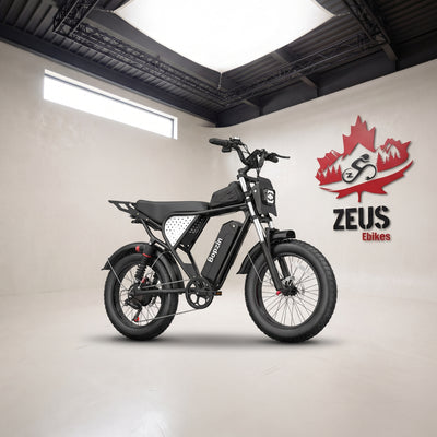 YVY C22