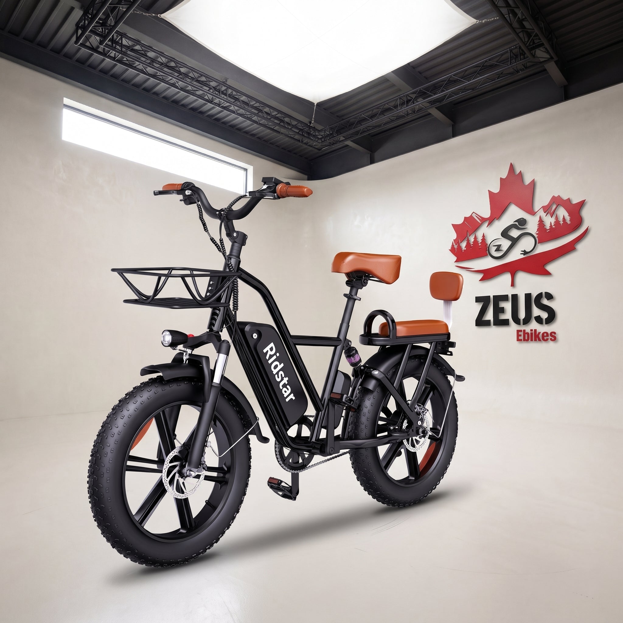 Ridstar FM001 20" 2-Seater Fat Tire Electric Bike — 1000W, 720 Wh