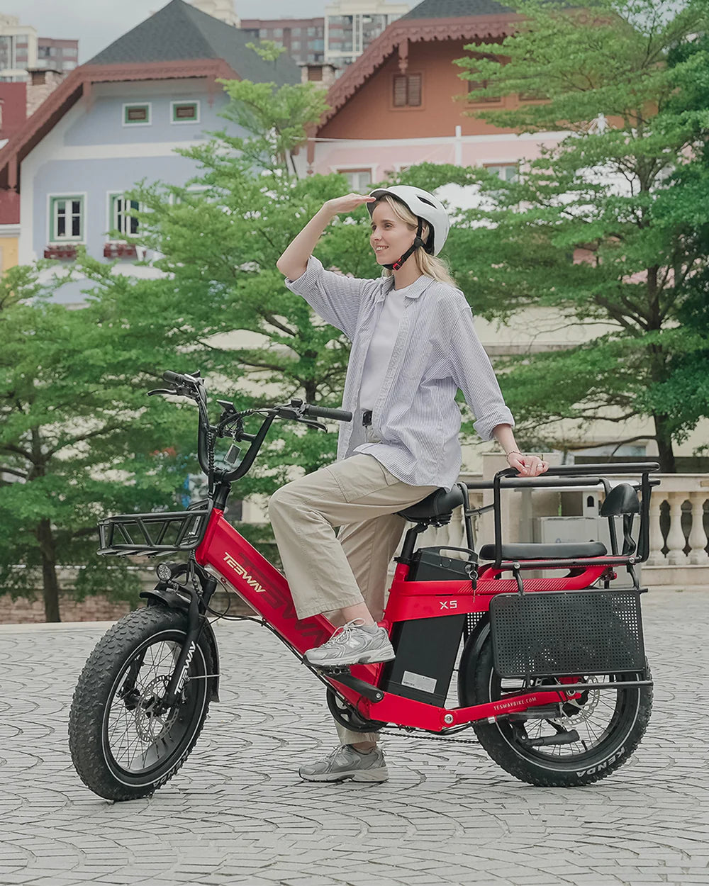Tesway X5 Pro Step-Thru Cargo eBike