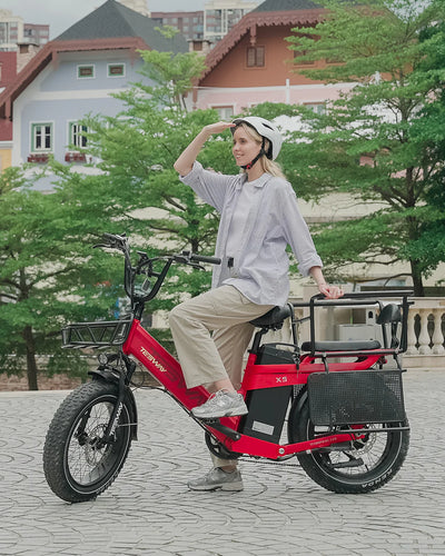 Tesway X5 Pro Step-Thru Cargo eBike