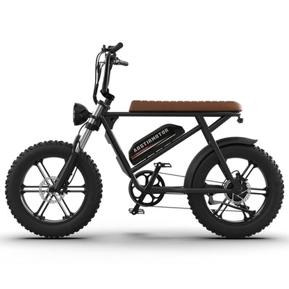 Aostirmotor Storm Fat Tire Retro Ebike