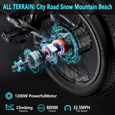 Smartravel ST201F 1500W Hub Motor and Rim