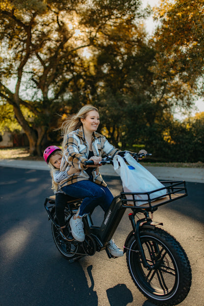 Himiway Big Dog Cargo Ebike