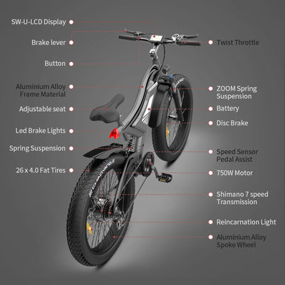 Aostirmotor S18 Fat Tire Mountain Ebike