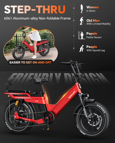 Tesway X5 Pro Step-Thru Cargo eBike