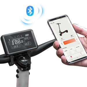 Circooter Raptor Pro Off-Road 1600W Dual Motor E-Scooter