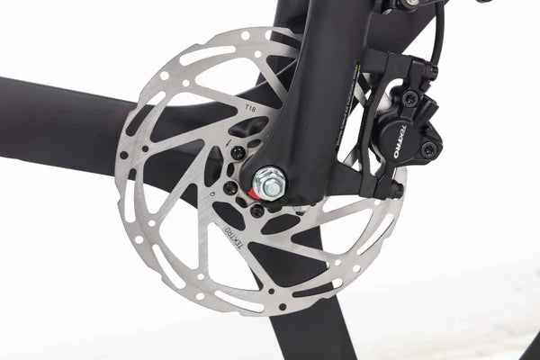 Tempo Commuter Ebike (Canadian)
