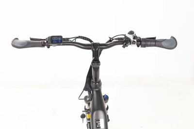 Tempo Commuter Ebike (Canadian)