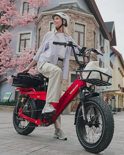 Tesway X5 Pro Step-Thru Cargo eBike