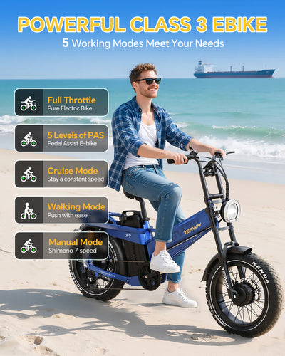 Tesway X7 AWD Dual Motor Electric Bike