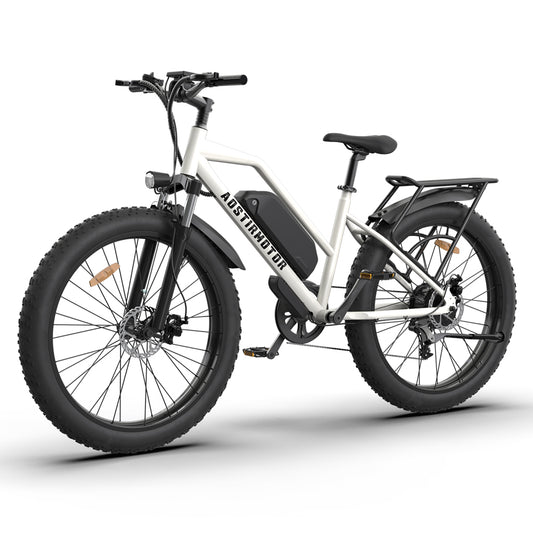 Mountain Electric Bicycles – Zeus Ebikes