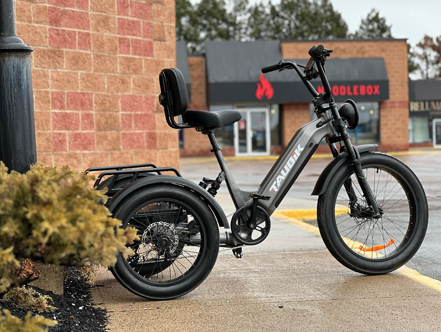 Taubik Pivot Electric Trike (Designed in Canada. Pre-Order, Arriving Early May 2025)