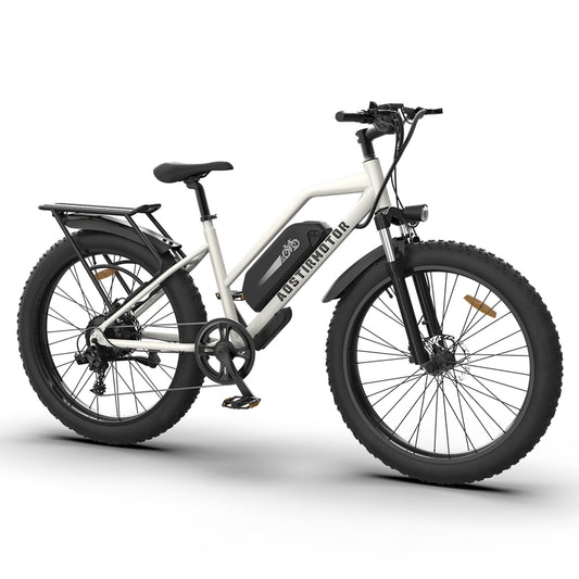 Aostirmotor S07-G Fat Tire Step Thru Mountain Ebike