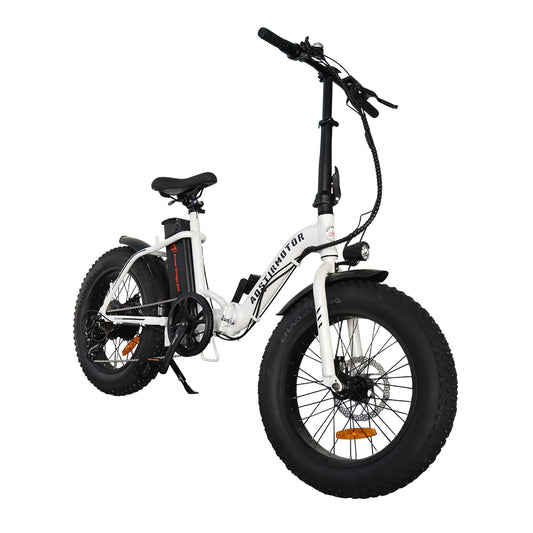 Aostirmotor G20 Fat Tire Folding Ebike