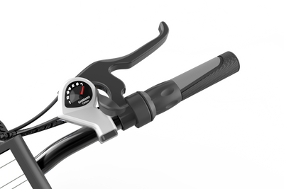 Aostirmotor S18 Fat Tire Mountain Ebike