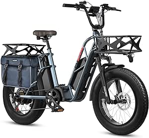 Fucare Gemini Dual Battery 1000W Ebike (Pre-Order, clearing customs now)