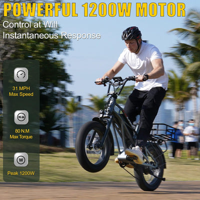 Fucare Gemini X 1000W Dual Battery Ebike (Pre-Order, clearing customs now)