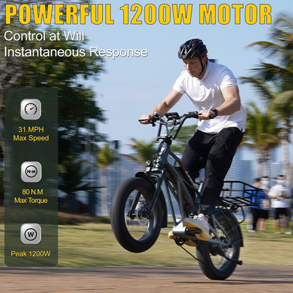 Fucare Gemini X 1000W Dual Battery Ebike