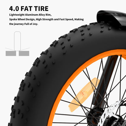 Aostirmotor A20 Fat Tire Folding Ebike