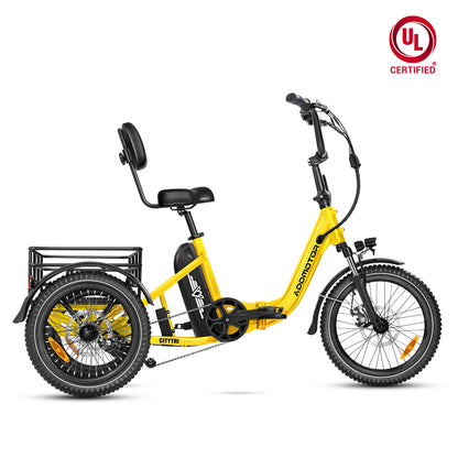 CITYTRI E-310 Electric Trike