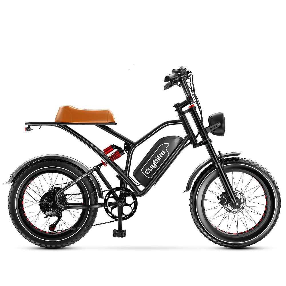 Euybike S4 Long Range Retro EBike