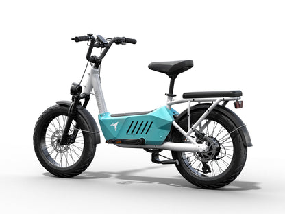 Himiway Cargo Ebike C3