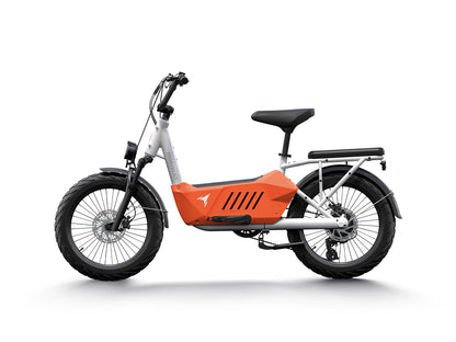 Himiway Cargo Ebike C3