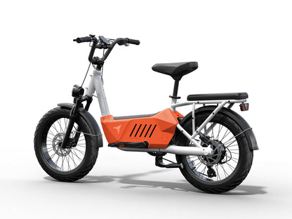 Himiway Cargo Ebike C3