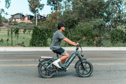 Himiway Big Dog Cargo Ebike