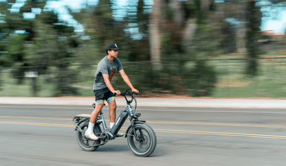 Himiway Big Dog Cargo Ebike