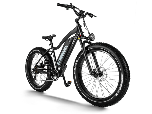 Himiway Cruiser Fat Tire Mountain Ebike