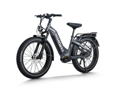 Himiway D5 Pro ST (Zebra Pro ST) — 500W Torque-Sensing Mid-Drive Fat Tire eBike