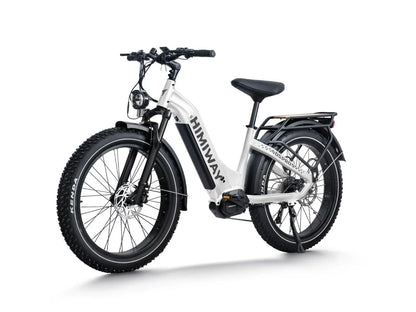 Himiway D5 Pro ST (Zebra Pro ST) — 500W Torque-Sensing Mid-Drive Fat Tire eBike