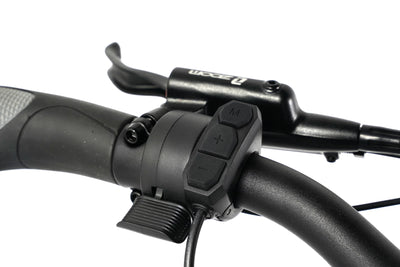 Taubik Tour Step-Through Fat Tire eBike