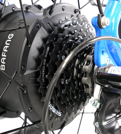 Taubik Tour Step-Through Fat Tire eBike