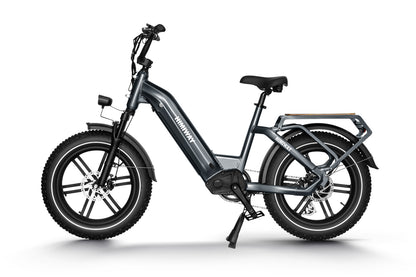 Himiway Big Dog Cargo Ebike