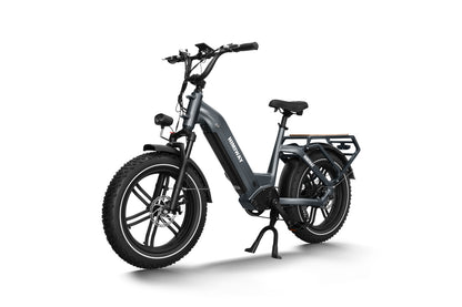 Himiway Big Dog Cargo Ebike