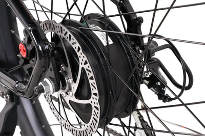 Taubik Westridge 29T