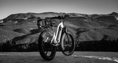 Himiway Cruiser Fat Tire Step Thru Ebike