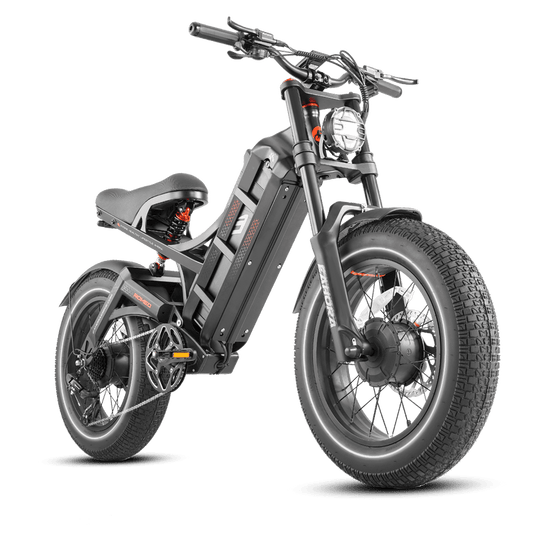 Eahora Romeo 2 Electeic bike