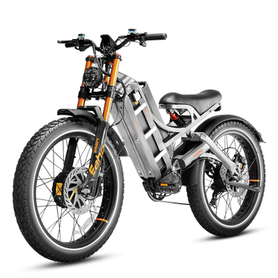 Eahora Romeo Pro III dual-motor AWD electric bike in Gray, left side view — Zeus eBikes Canada