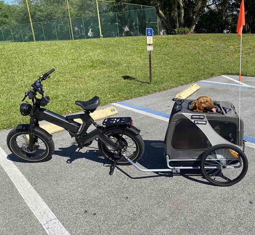 Euybike K6 Pro 1500W Folding Ebike