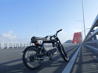 Eahora FT-01 Max 2025 Moped-Style Electric Bike (48V 30Ah, 500W, Hydraulic Brakes)
