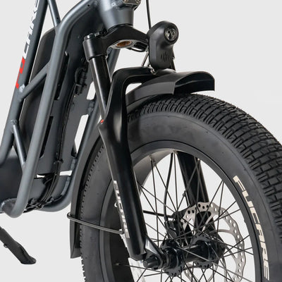 Fucare Gemini Dual Battery 1000W Ebike (Pre-Order, clearing customs now)