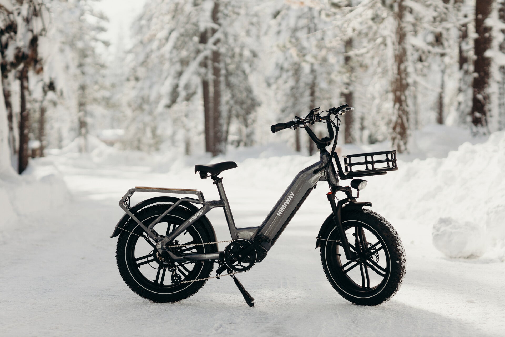 Himiway Big Dog Cargo Ebike