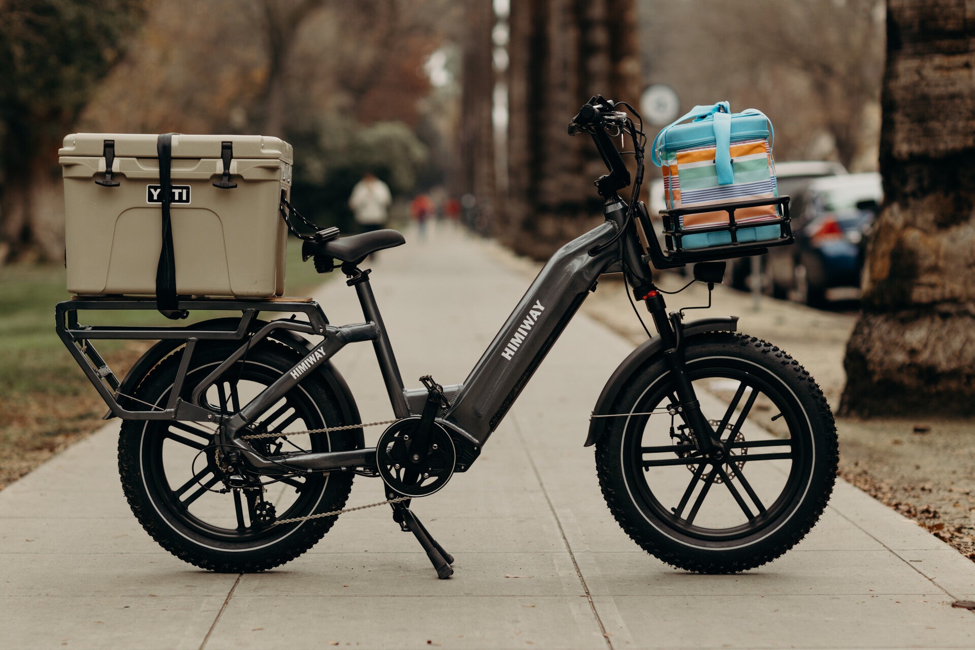 Himiway Big Dog Cargo Ebike