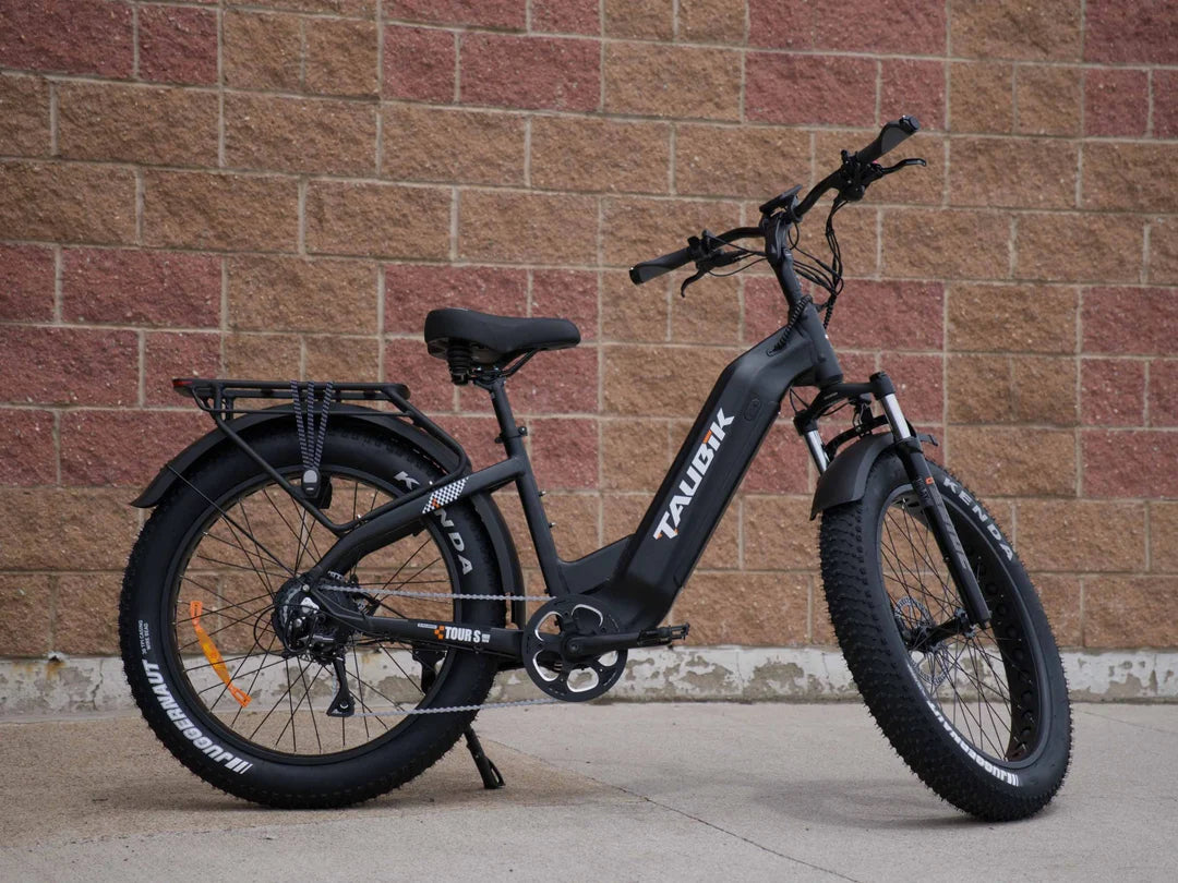 Taubik Tour Step-Through Fat Tire eBike