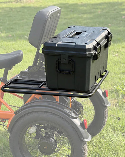 Meet One Breeze Pro 2.0 Full-Suspension Fat Tire Electric Trike