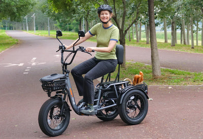 Meet One Breeze Folding Electric Trike