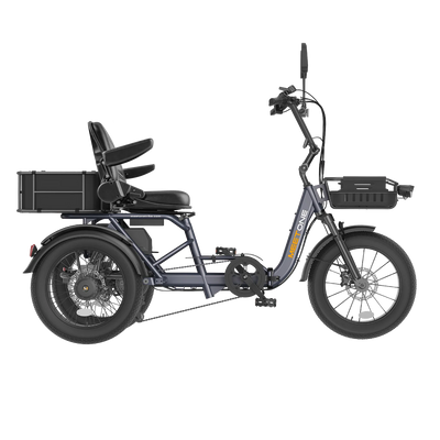 Meet One Breeze Pro 2.0 Full-Suspension Fat Tire Electric Trike